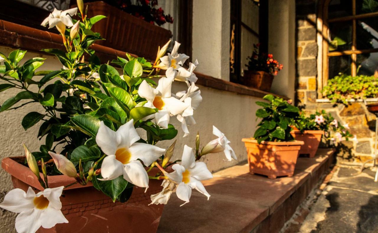 Hostal Montserrat Мунсень Екстер'єр фото